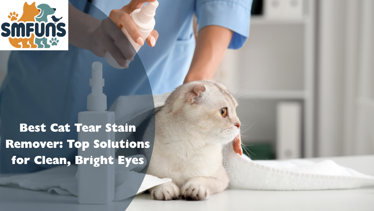 Best Cat Tear Stain Remover