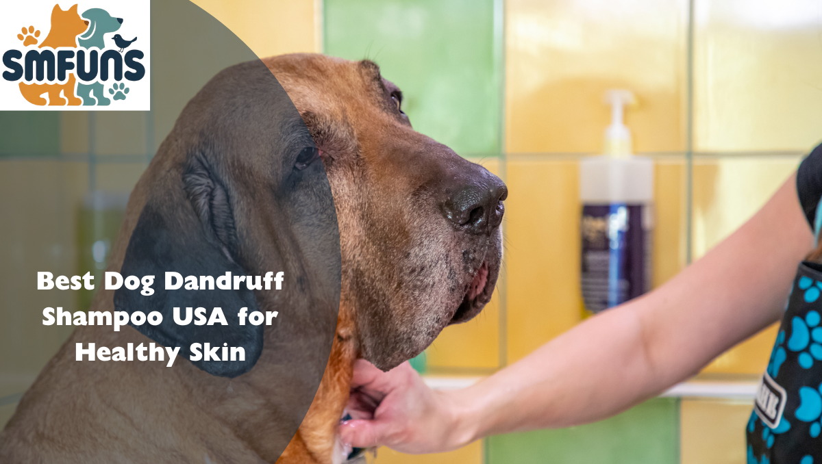 Best Dog Dandruff Shampoo USA for Healthy Skin