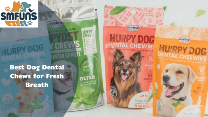 Best Dog Dental Chews