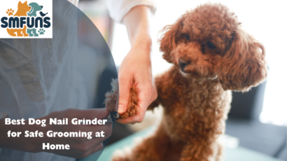best dog nail grinder