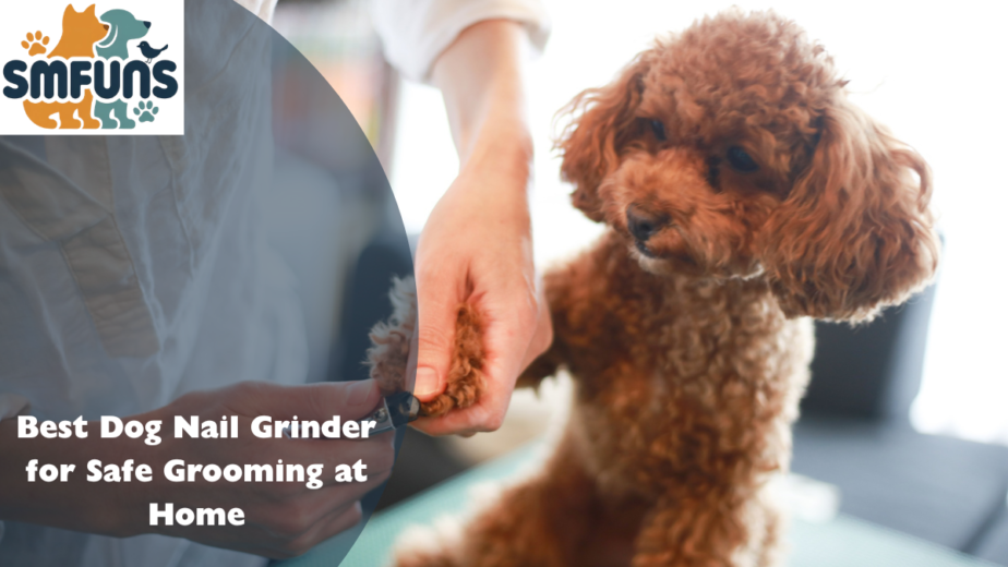 best dog nail grinder