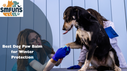 Best Dog Paw Balm