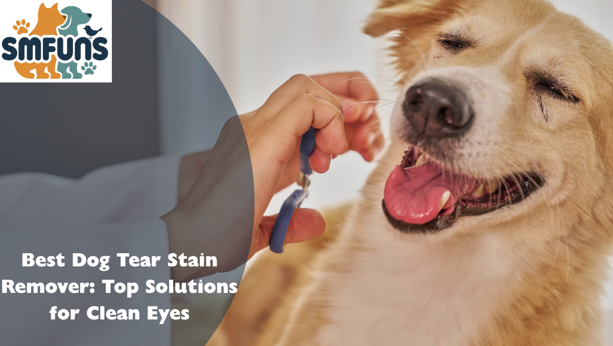 Best Dog Tear Stain Remover