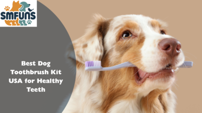 Best Dog Toothbrush Kit