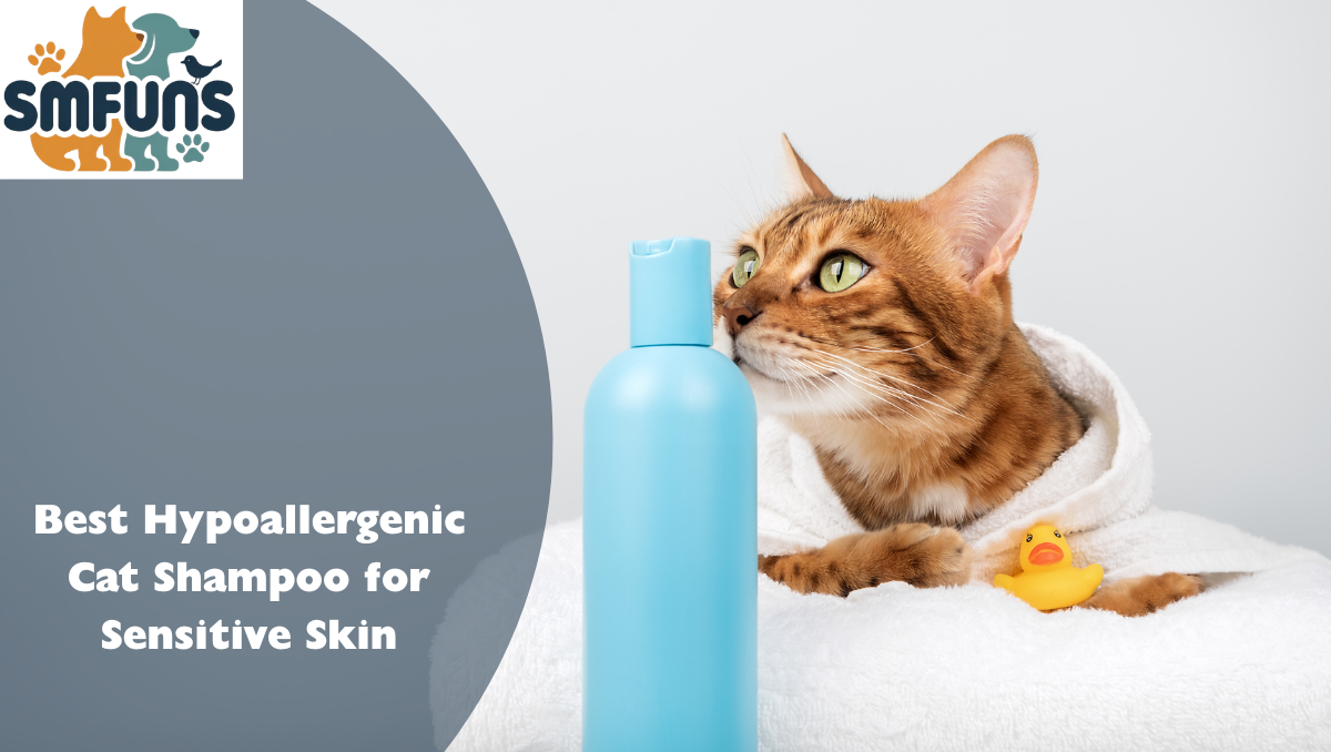 Best Hypoallergenic Cat Shampoo
