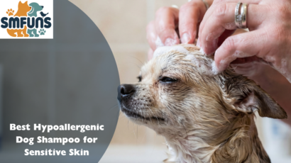 best hypoallergenic dog shampoo
