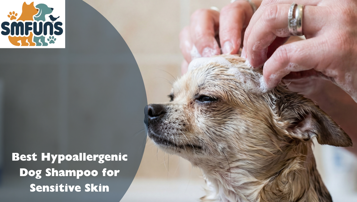 best hypoallergenic dog shampoo