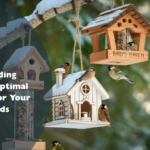 Bird Feeding Schedule: Optimal Nutrition for Your Pet Birds