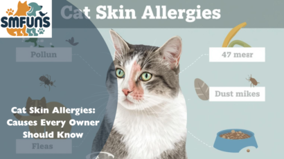 Cat Skin Allergies