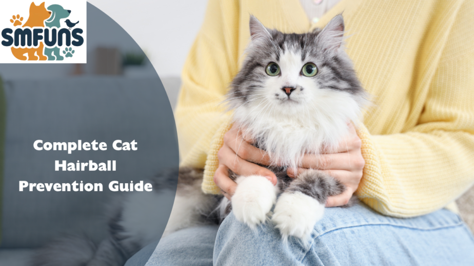 Complete Cat Hairball Prevention Guide