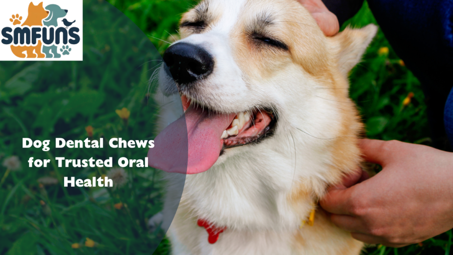Dog Dental Chews