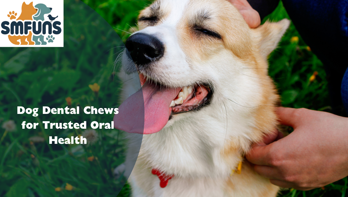 Dog Dental Chews