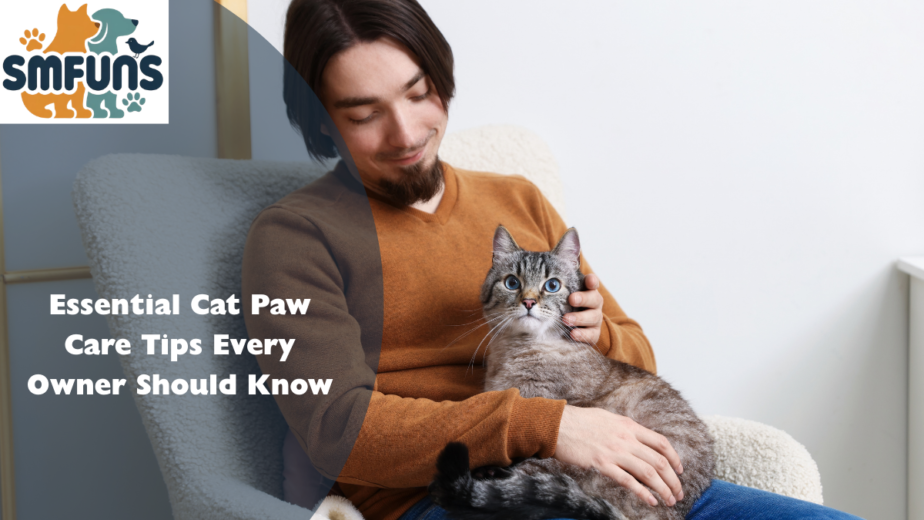 Cat Paw Care Tips