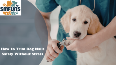 how to trim dog nails