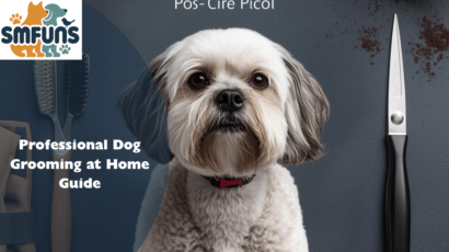 Dog Grooming at Home