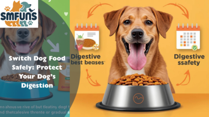 Switch Dog Food Safely