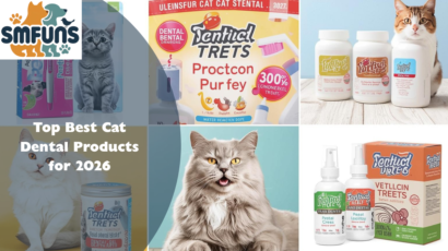 Best Cat Dental Products