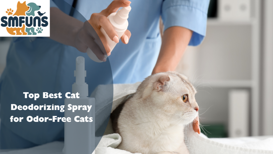 best cat deodorizing spray