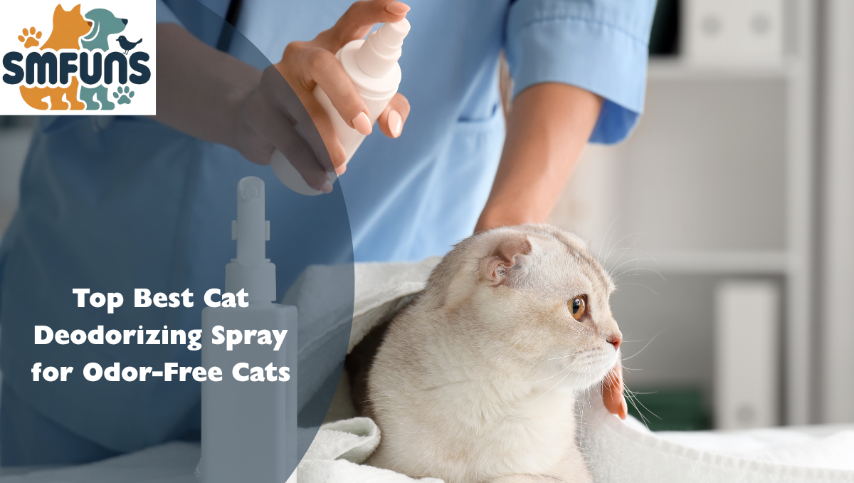 best cat deodorizing spray